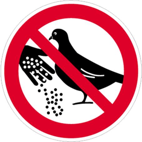 Verbotsschild: Tauben Füttern Verboten - Alu, Ø 400 mm